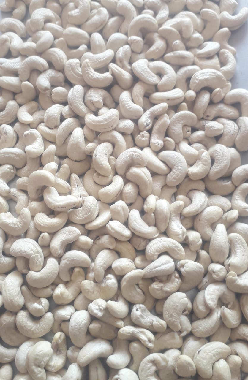 Cashew Nuts Best Quality – Grade: W320