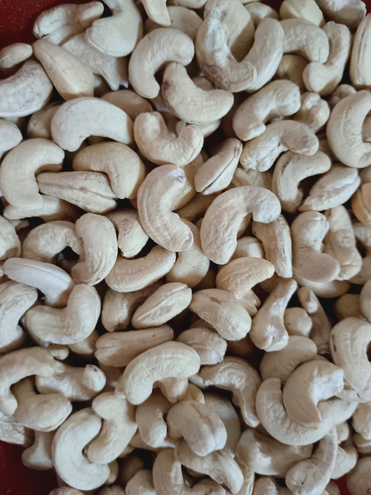 Cashew Nuts Best Quality – Grade: W240 – Processed in Kerala